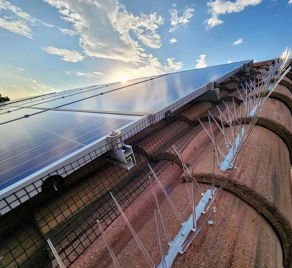 pigeon proof solar panels